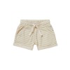 Beige/muntgroen gestreept shortje - Basye desert sage °